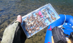 Orvis Tacky Dropper BOX - Flue.no - Fiskeutstyr