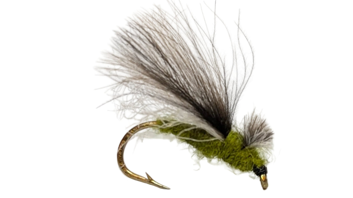 CdC Caddis Adult Olive