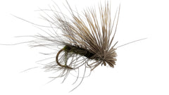 CDC Elkhair Caddis Olive