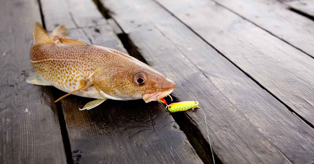 Slukhals Torskesluk R/G/Y/F | Sølvkroken - Flue.no - Fiskeagn og -sluker