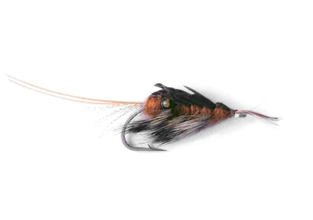 Smelling Shrimp - Flue.no - Fiskefluer