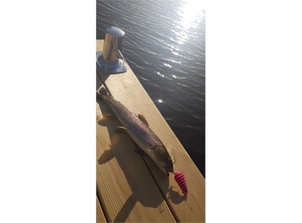 Tasmanian Devil Sluk | Ferskvann - Flue.no - Fiskeagn og -sluker