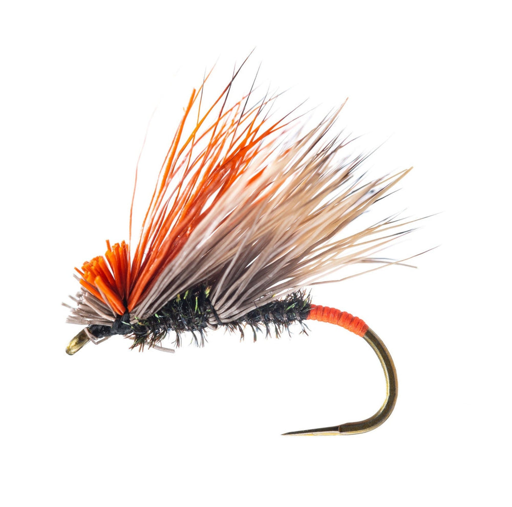 The Grunch Caddis