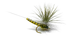Vania | Elk Wing May Fly Olive - Flue.no - Fiskefluer