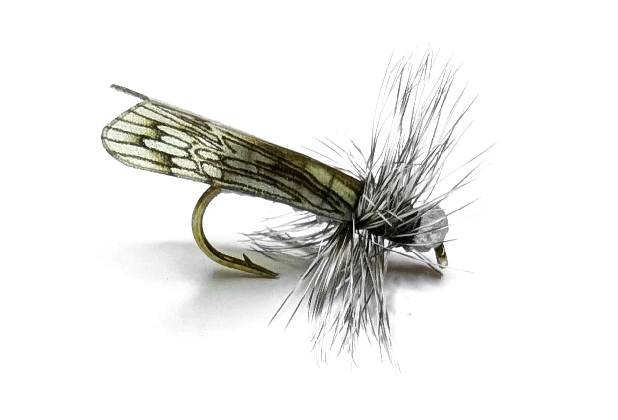 Vania | Grey Caddis - Flue.no - Fiskefluer