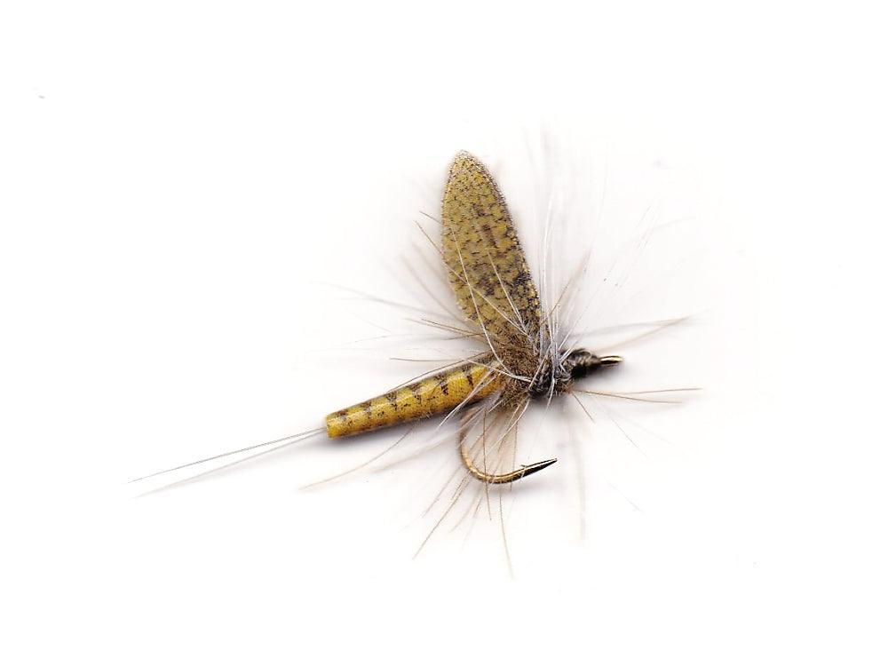 Vania | Olive - Flue.no - Fiskefluer