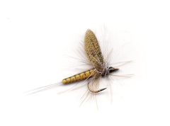 Vania | Olive - Flue.no - Fiskefluer